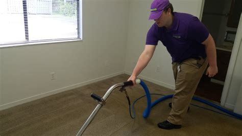 sean carpet cleaning englewood fl